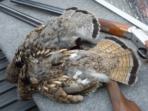 Two distinct ruffs from Grouse Alley.  
