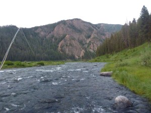 The Land Before Time