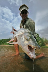 Africa's Tiger Fish.