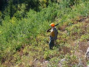 Jim Parry hunts a beautiful ridgeline in search of grouse. 