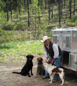 Doug Deats and a few of his varied dogs.  