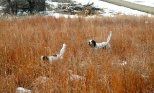 Picture perfect rock stars. 