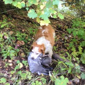 Sunny doing what she was born to do. 