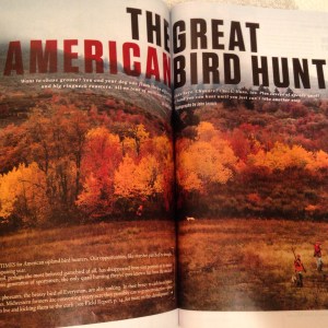 The first page of the article contains a two page spread of my most favorite covert in the whole world, The Royal Macnab.  