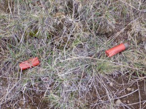 The very 12 gauge hulls from Dad's Hun double.