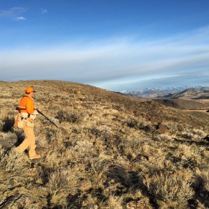 Shawn hunts Code Brown on Black Friday.