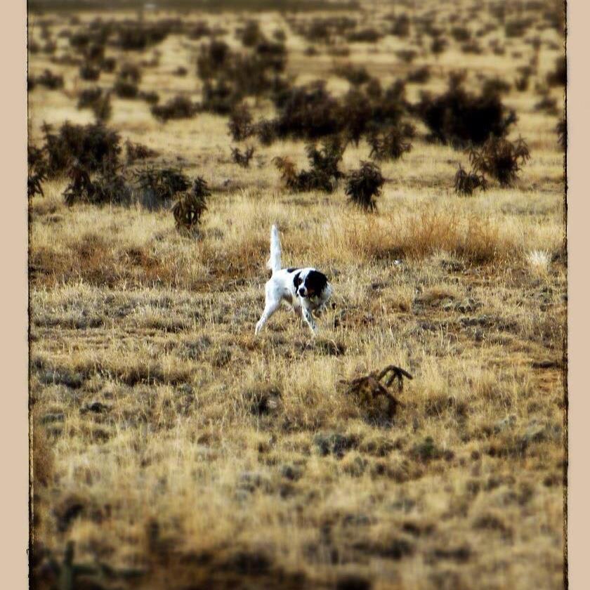 563652_4318572517066_1425325878_n