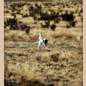 563652_4318572517066_1425325878_n