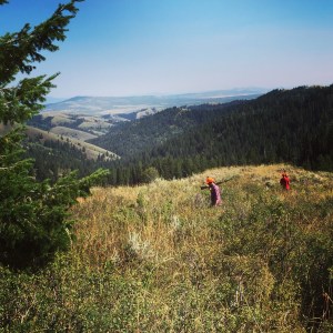 The view from Grouseketeer Ridge. 