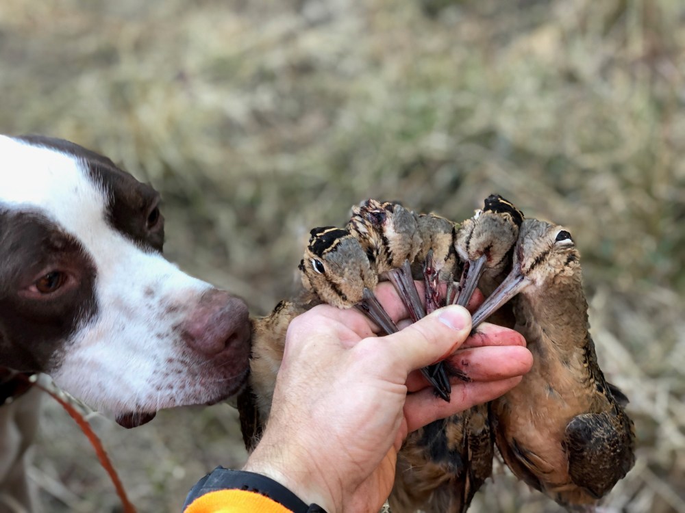 1A5F70FE-5267-48B6-A53E-0FABA46DCF37